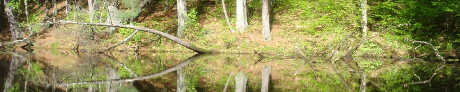 StatelinePaddlers.org